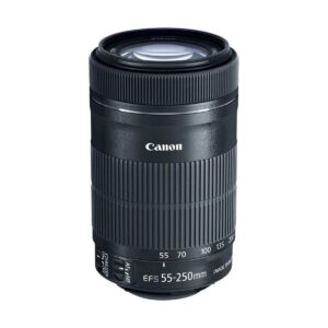 Recommended lenses for the Canon EOS Rebel T7 - Canon EF-S 55-250mm f/4-5.6 IS STM